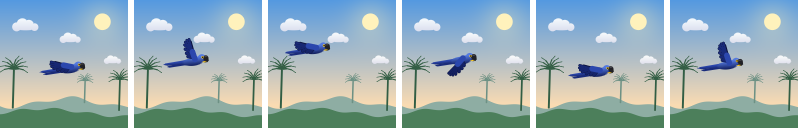 Macaw